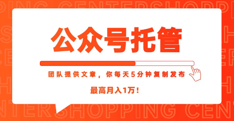 【公众号托管 】我提供文章，你每天５分钟复制发布，最高月入1W-清风