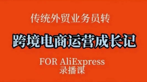 跨境电商速卖通运营课，​运营方法论+后台实操，逻辑清晰-清风