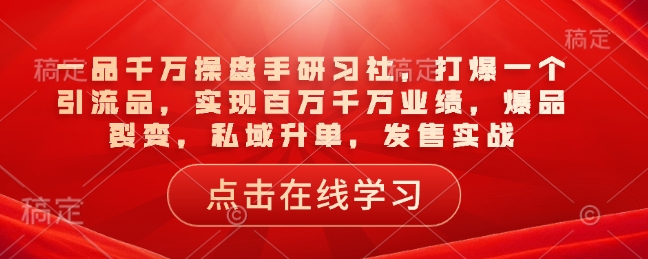 一品千万操盘手研习社，打爆一个引流品，实现百万千万业绩，爆品裂变，私域升单，发售实战-清风