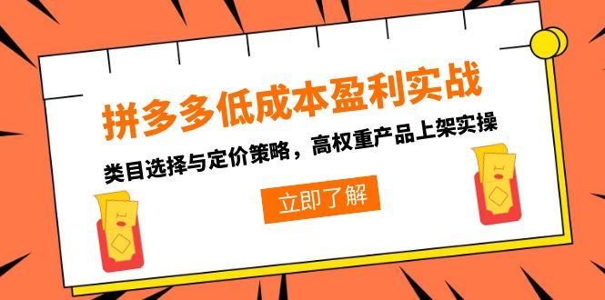 拼多多低成本盈利实战，类目选择与定价策略，高权重产品上架实操-清风