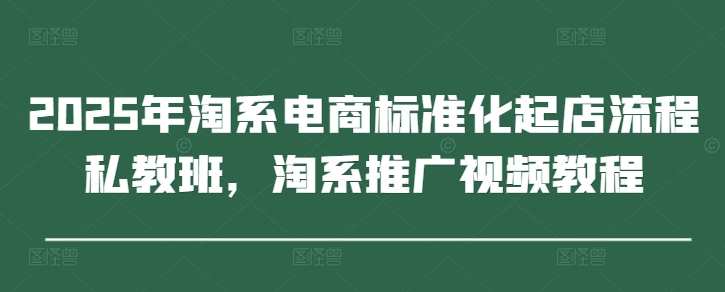 2025年淘系电商标准化起店流程私教班，淘系推广视频教程-清风