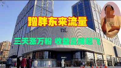 蹭胖东来流量，三天涨万粉，收益直接起飞-清风