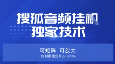 【搜狐音频挂G】独家技术，可矩阵可放大，红利期稳定月入8k【揭秘】-清风
