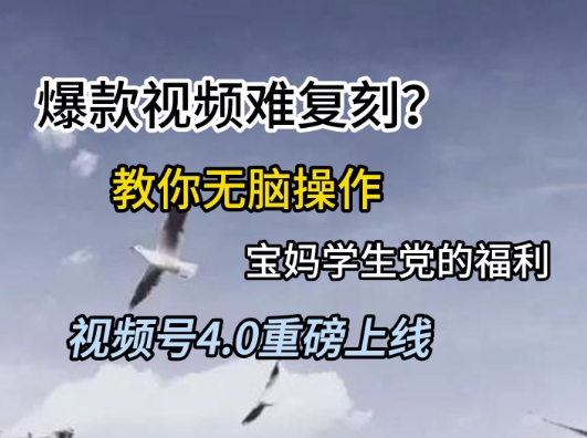 视频号4.0重磅上线，爆款视频难复刻？教你无脑操作宝妈学生党的福利【揭秘】-清风