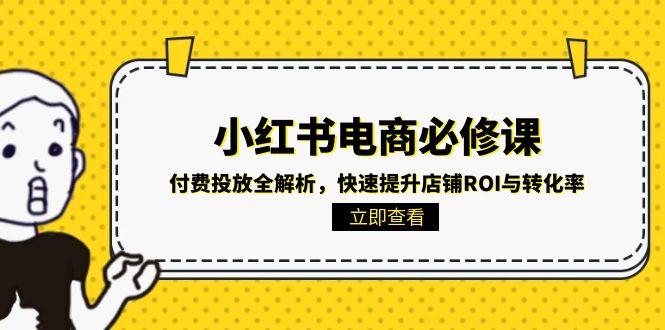 小红书电商必修课：付费投放全解析，快速提升店铺ROI与转化率-清风