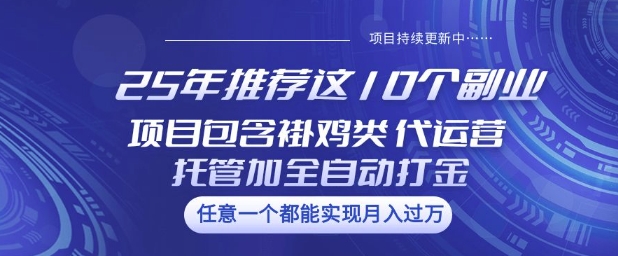25年推荐这10个副业项目包含褂鸡类、代运营托管类、全自动打金类【揭秘】-清风