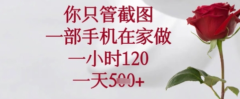 你只管截图，一部手机在家可以做，一小时120.一天5张+【揭秘】-清风