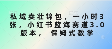私域卖壮锦包，一小时3张，小红书蓝海赛道3.0版本， 保姆式教学-清风