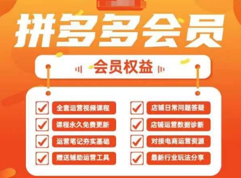 2025拼多多运营实战课，40节全流程教学，覆盖拼多多运营全链路-清风