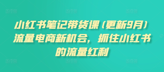 小红书笔记带货课(更新25年3月)流量电商新机会，抓住小红书的流量红利-清风