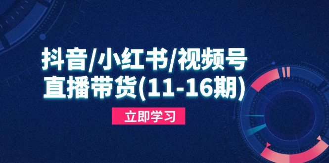 抖音/小红书/视频号/直播带货(11-16期-清风