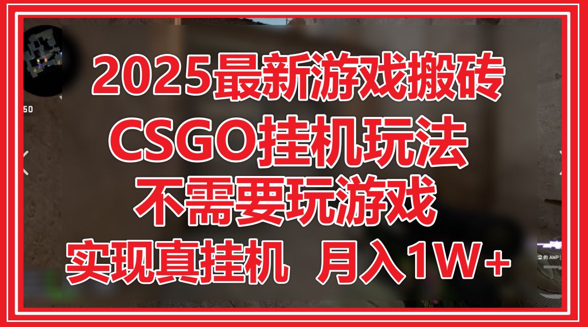 2025最新游戏搬砖，CSGO挂机，不需要玩游戏，实现真挂机，月入1W+-清风
