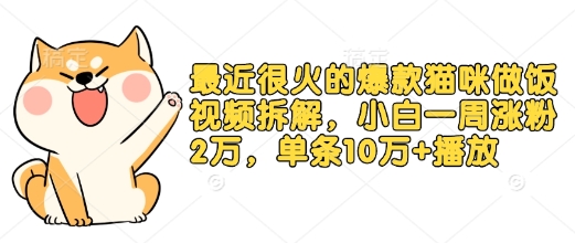 最近很火的爆款猫咪做饭视频拆解，小白一周涨粉2万，单条10万+播放(附保姆级教程)-清风
