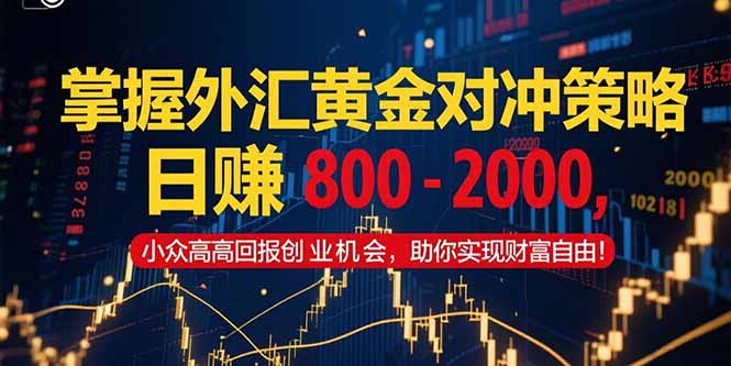 掌握外汇黄金对冲策略，日赚 800 – 2000，小众高回报创业机会，助你实…-清风