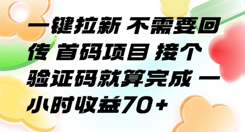 一键拉新 不需要回传 首码项目 接个验证码就算完成 一小时收益70+【揭秘】-清风