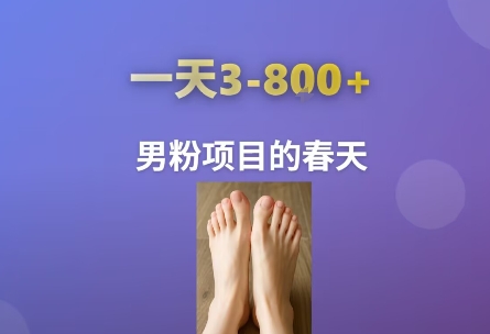 AI一键生成美女素材，一天收益3-8张，男粉项目的春天-清风