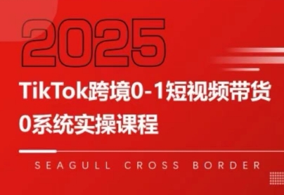 大亿老师·TikTok跨境0-1短视频带货-清风