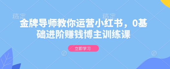 金牌导师教你运营小红书，0基础进阶赚钱博主训练课-清风
