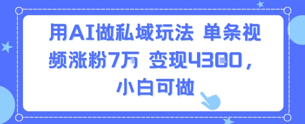用AI做私域玩法，单条视频涨粉7W变现4.3k，小白可做-清风