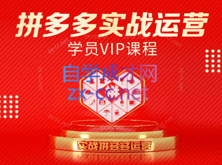 推易电商·拼多多实战运营课(更新2025月)-清风