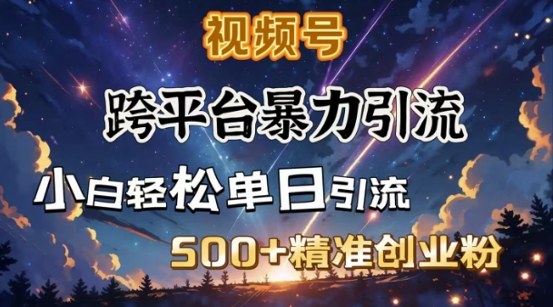 跨平台暴力引流，私域完美闭环，日引500+精准创业粉-清风
