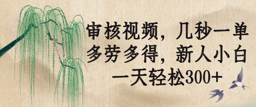 审核视频，几秒一单，多劳多得，新人小白一天轻松300+-清风