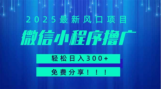 微信小程序撸广，最新风口项目，日入300+ 免费分享 可批量操作 小白可…-清风