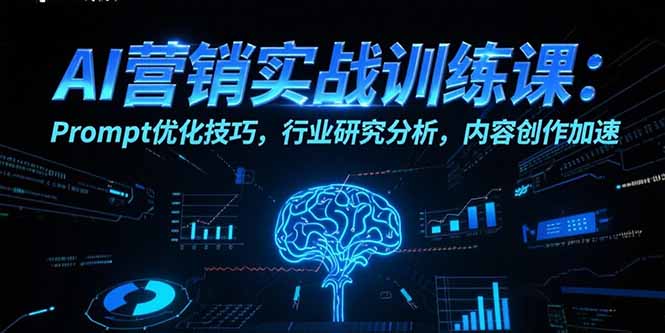 AI营销实战训练课：Prompt优化技巧，行业研究分析，内容创作加速-清风