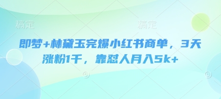 即梦+林黛玉完爆小红书商单，3天涨粉1千，靠怼人月入5k+-清风