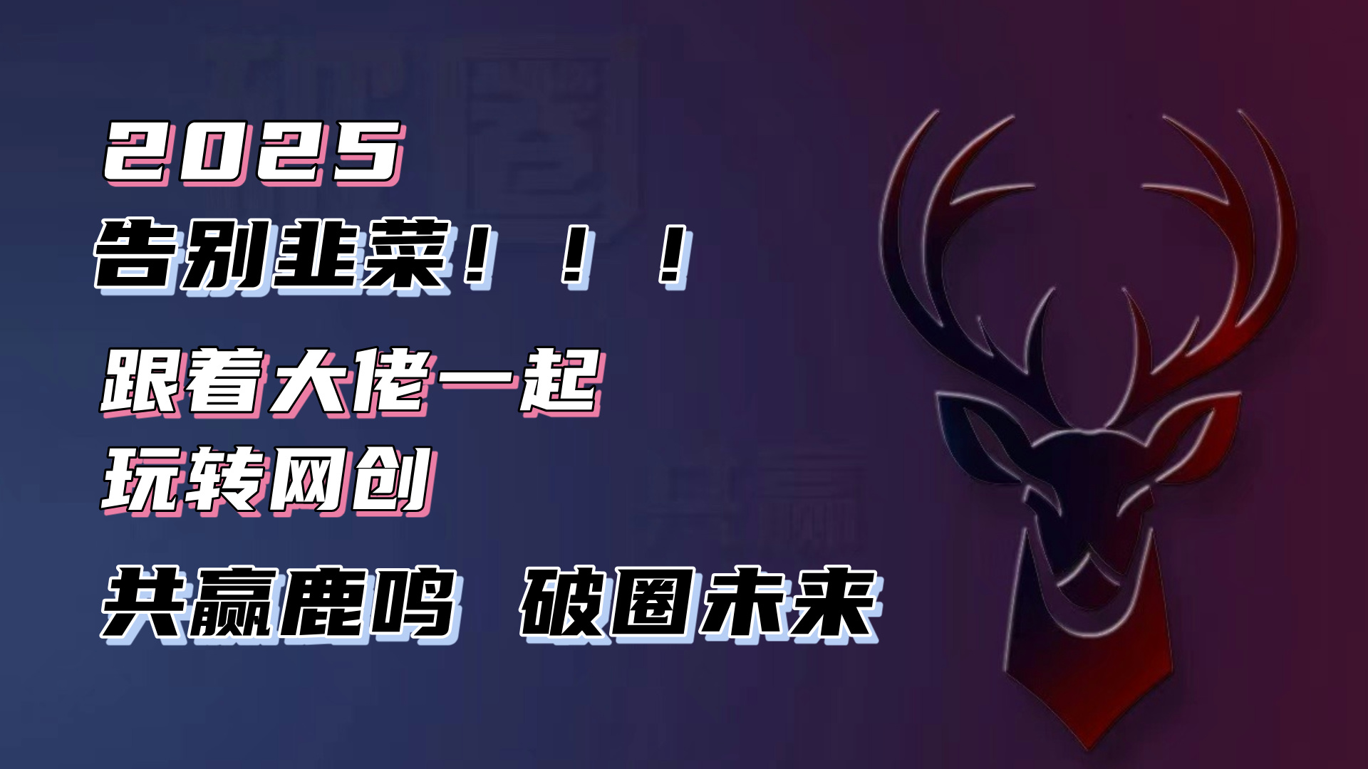 告别韭菜！2025知识付费风口项目，小白也能闭眼操作！-清风