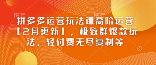 拼多多运营玩法课高阶运营【2月更新】，极致群爆款玩法，轻付费无尽复制等-清风