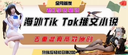 海外tiktok小说推文暴力项目，高停留率，高转化率，上手后一天搞顿饭钱不是问题-清风