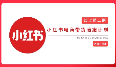2025小红书虚拟电商实战课-清风
