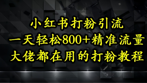 小红书打粉引流，一天轻松500+精准流量，大佬都在用的打粉教程-清风