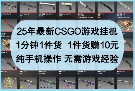 25年最新CSGO游戏挂G，1分钟1件货，1件货挣10元，纯手机操作，无需游戏经验【揭秘】-清风
