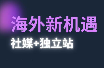棕榈·2025出海新机遇(社媒+独立站)-清风