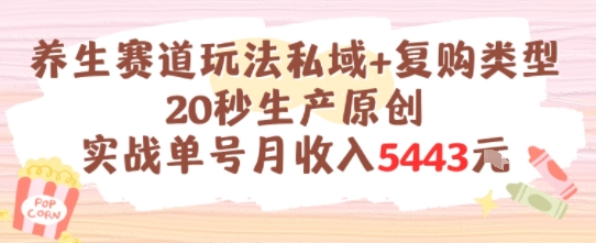 养生赛道玩法私域+复购类型，20秒生产原创实战单号月收入5k+-清风