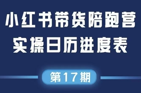 盗坤·抖音小红书视频号短视频带货与直播变现(11-17期)-清风
