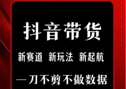 抖音短视频一刀不剪带货，不剪辑，不直播，每天发个视频，等着出单获取带货佣金-清风