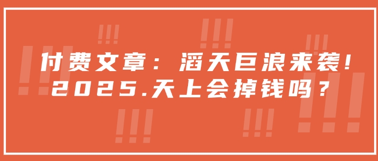 付费文章：滔天巨浪来袭！2025天上会掉钱吗？-清风