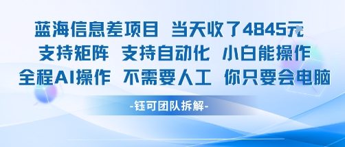 蓝海信息差项目当天收米1k+ 支持矩阵支持自动化小白能操作全程AI操作不需要人工你只要会电脑-清风