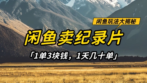 闲鱼卖纪录片1单3块钱，1天几十单，项目稳定有潜力-清风