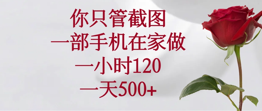 你只管截图，一部手机在家做，一小时120，一天500+-清风