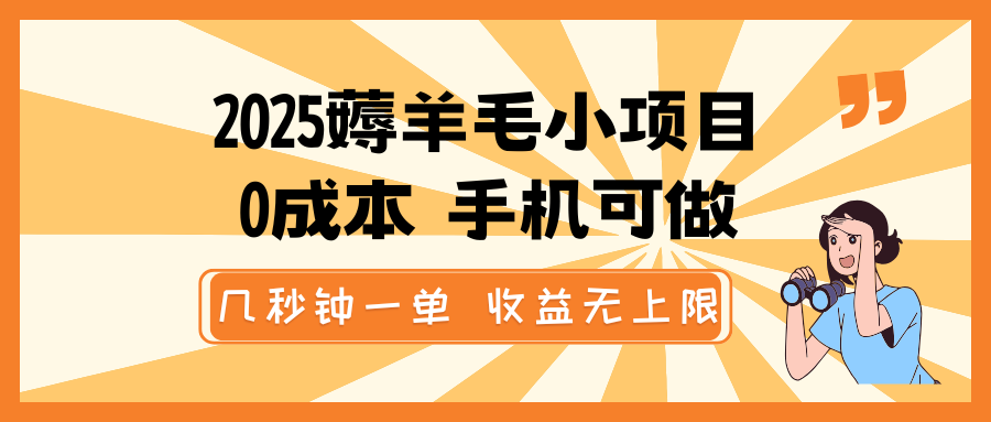 2025薅羊毛小项目，0成本 手机可做，几秒钟一单，收益无上限-清风