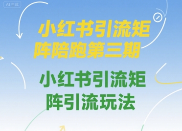 小红书引流矩阵陪跑第三期，小红书引流矩阵引流玩法-清风