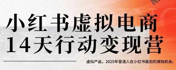 小红书虚拟电商14天变现训练营，虚拟产品，2025年普通人在小红书最后的搞钱机会-清风