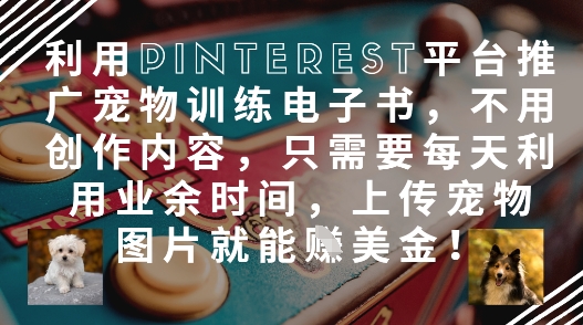 利用Pinterest平台推广宠物训练电子书，不用创作内容，只需要每天利用业余时间，上传宠物图片就能挣美金!-清风
