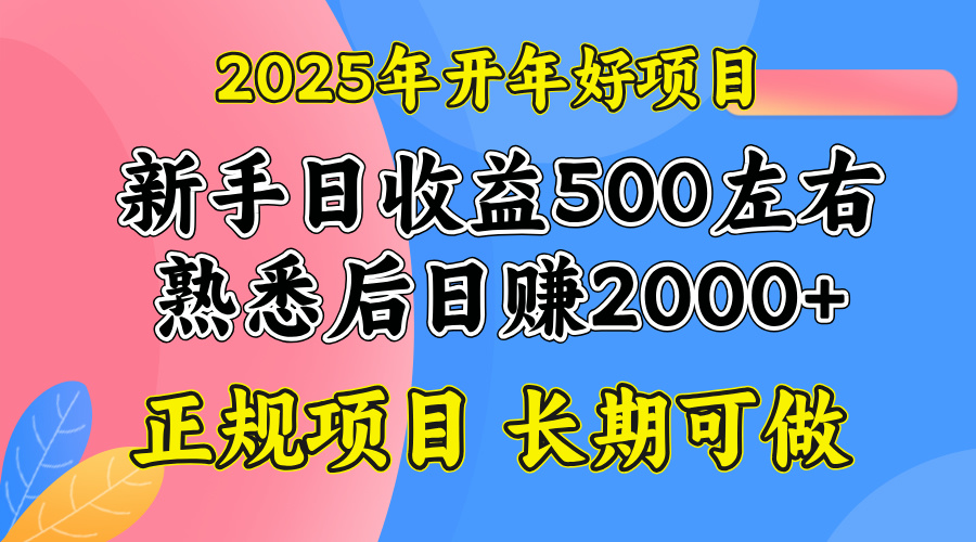2025开年好项目，单号日收益2000左右-清风