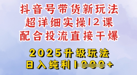 2025全新升级抖音带货玩法，一天纯利四位数，从剪辑到选品再到发布投流，超详细玩法揭秘-清风
