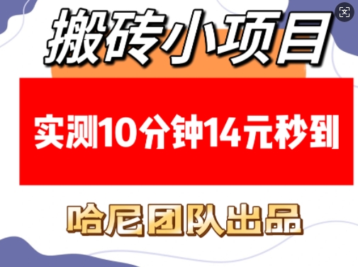 搬砖小项目，实测10分钟14元秒到，每天稳定几张(赠送必看稳定)-清风